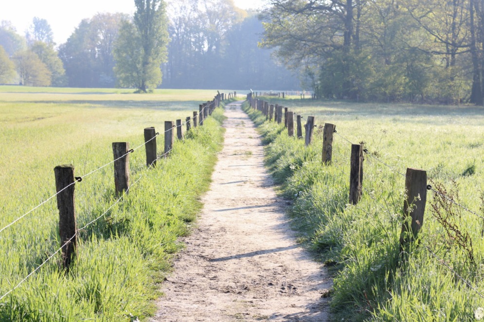 Wandelpad in de natuur