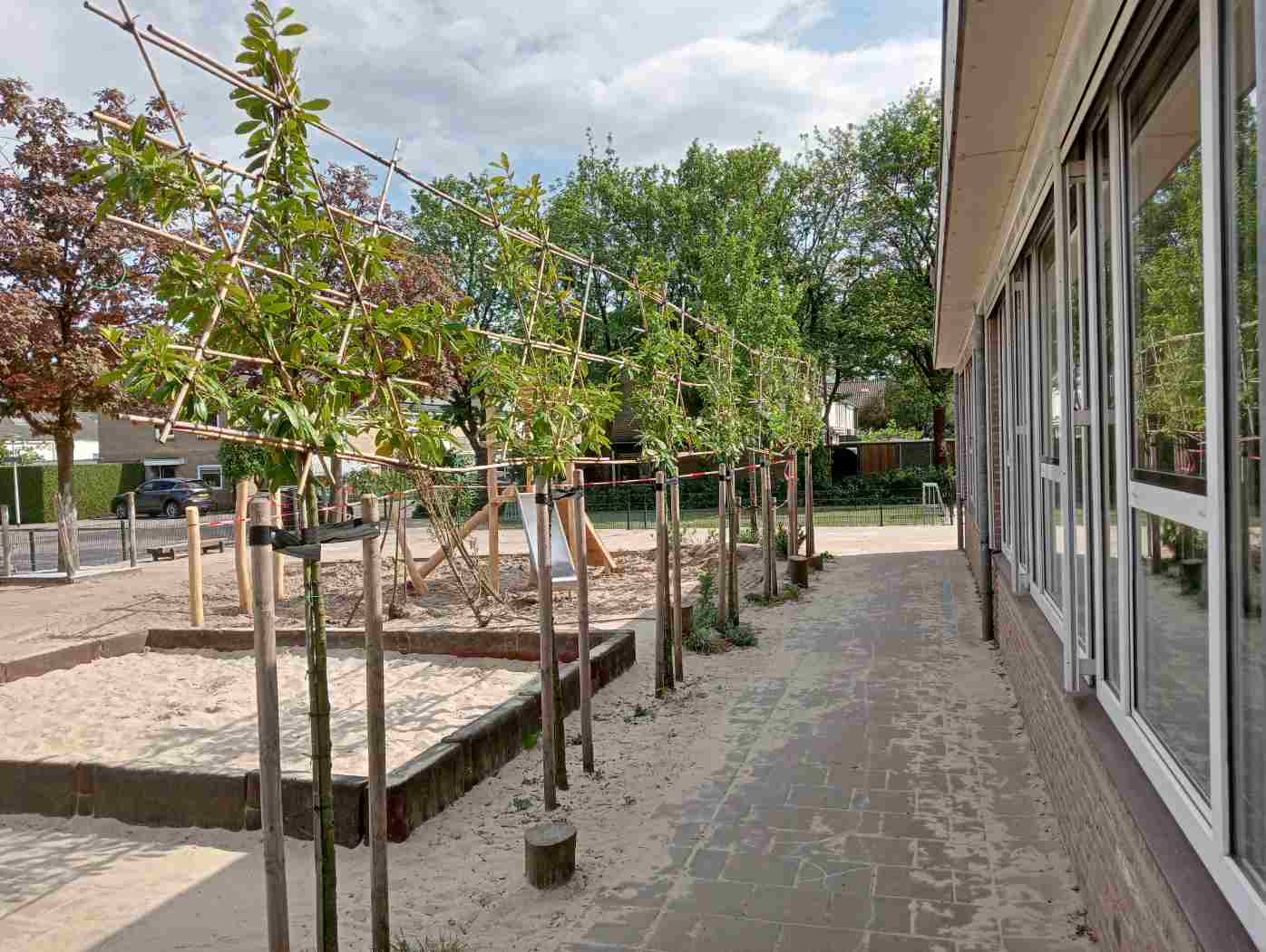 De 6 laurierlindes voor het schoolgebouw.
